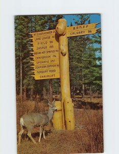 Postcard Mule Deer and Rustic Directional Sign , Banff National Park, Canada