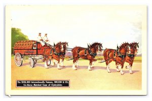 Postcard Wilson & Co. Six-Horse Matched Team Of Clydesdales Chicago IL
