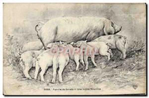 Postcard Old Pig Pig piglets family A good nurse