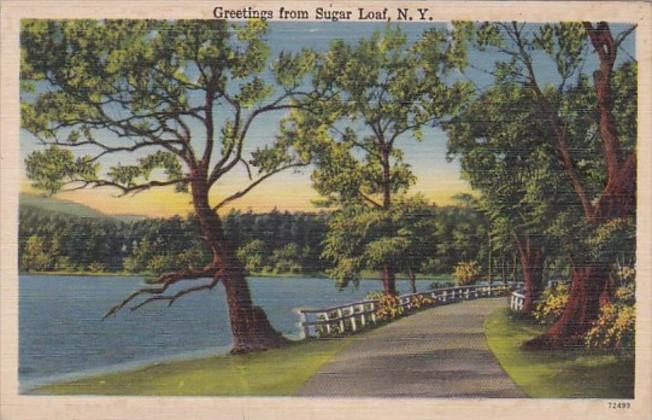 New York Greetings From Sugar Loaf 1945