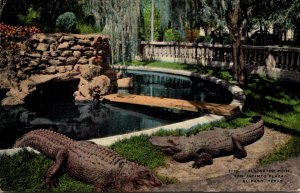 Alligator Pool San Jacinto Plaza El Paso Texas 1942