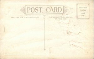 Greeting Children Daisies House Poem Gilt Embossed c1900s-10s Postcard