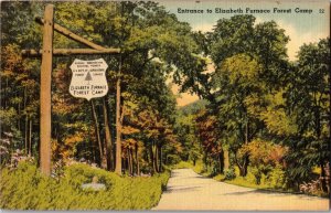 Elizabeth Furnace Forest Camp George Washington National Forest VA Postcard A35