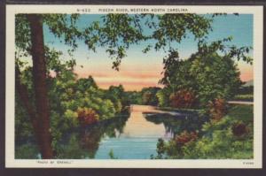 Pigeon River Western NC Postcard 4587