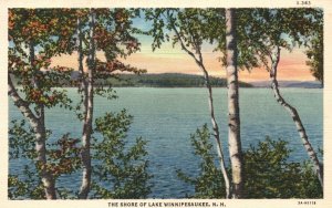 Vintage Postcard 1941 View of The Shore Of Lake Winnipesaukee New Hampshire NH