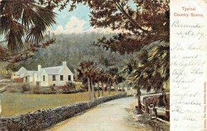 BERMUDA~TYPICAL COUNTRY SCENE~1909 NELMES THE TOWER POSTCARD