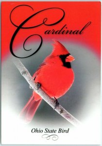 Postcard - Cardinal - Ohio State Bird