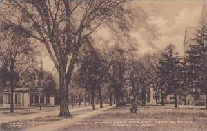 Ohio Oberlin North Professor Street Looking South-Albertype