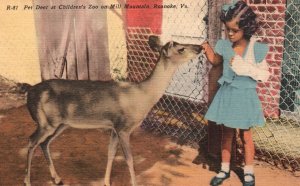 Vintage Postcard Pet Deer Children's Zoo On Mill Mountain Roanoke Virginia VA