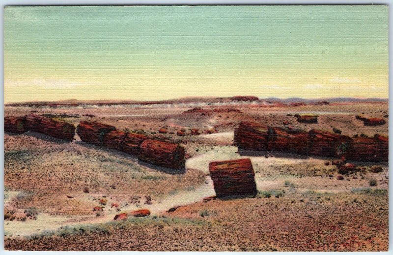 1939 Petrified Forest, AZ Logs in Third 3rd Forest Teich Linen PC P.F. #35 A286