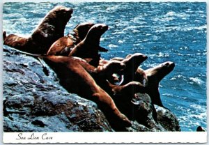 Postcard - Sea Lion Cave, Oregon Coast - Florence, Oregon