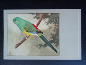 Bird Theme REDRUMPED PARAKEET c1950s Postcard by P. Sluis Series 5 No.55