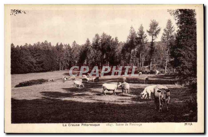 Old Postcard Folklore Creuse Scene Grazing Cows