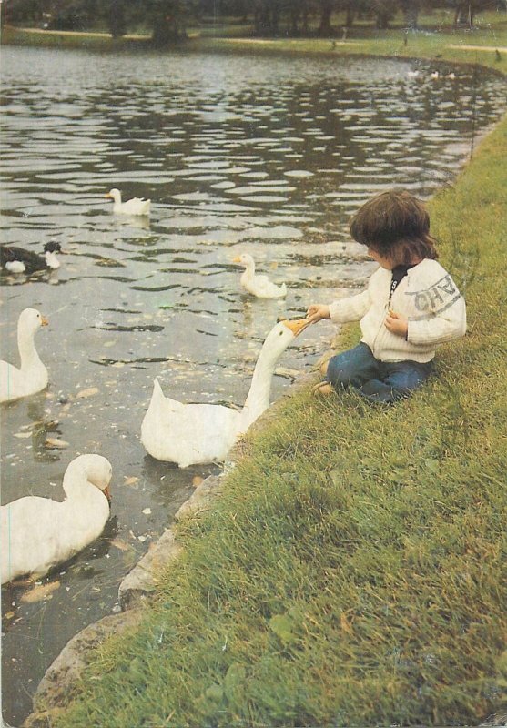 Postcard Animals child feeding ducks on lake park garden nature water
