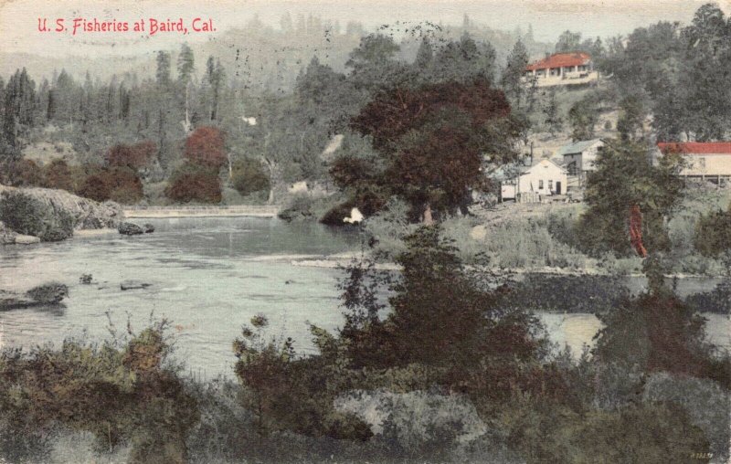 Hand Colored Postcard U.S. Fisheries at Baird, California~126624