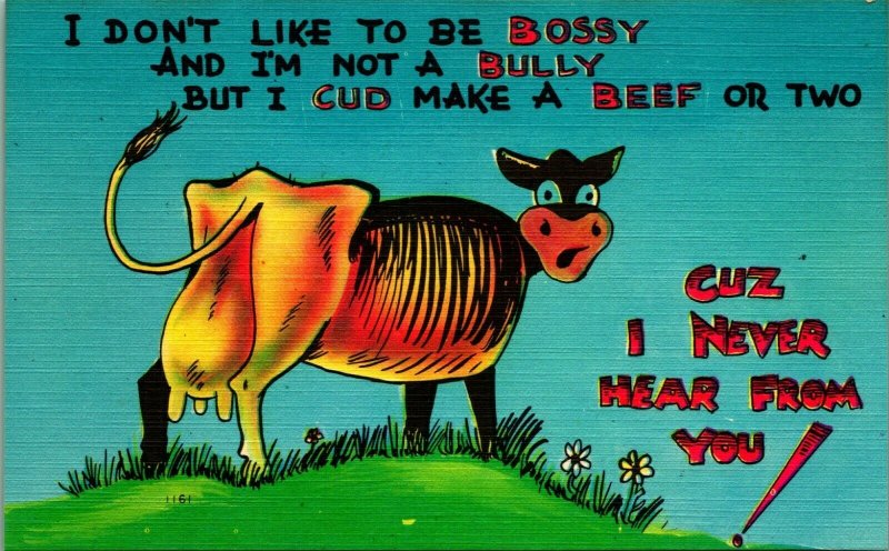 Comic Humor Bossy Cow Cuds and Makes Beef  Linen Postcard Unused UNP  