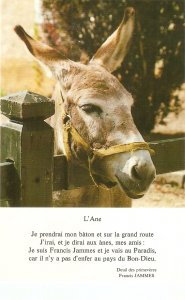 The Donkey.- L'Ane Nice modern French postcard
