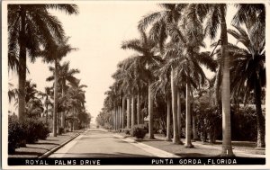 Royal Palm Drive Punta Gorda FL Florida c1950s Vintage RPPC Postcard KH12