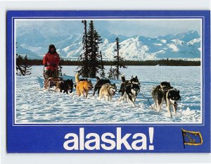 Postcard The Modern Dog Team, alaska!, Alaska