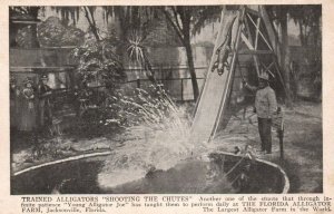 POSTCARD Florida Alligator Farm Water Slide Jacksonville 'Shooting the chutes'
