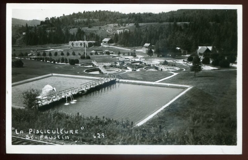 dc1266 - ST. FAUSTIN Quebec 1950s Pisciculture. Real Photo Postcard by Cote