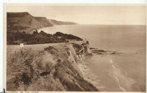 Devon Postcard - Sidmouth On The Cliffs    BE658