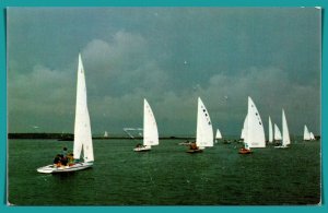 New Jersey, Bernegat Bay - Sailing Regatta - [NJ-252]