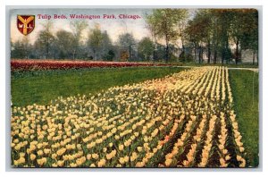 Washington Park Tulip Beds Chicago Illinois IL UNP DB Postcard Y6