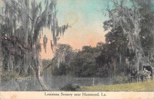 Louisiana Scenery near Hammond, LA Tangipahoa Parish 1913 Kropp Vintage Postcard