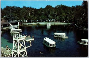 Glass Bottom Boats Crystal Clear Waters Silver Springs Florida FL Postcard