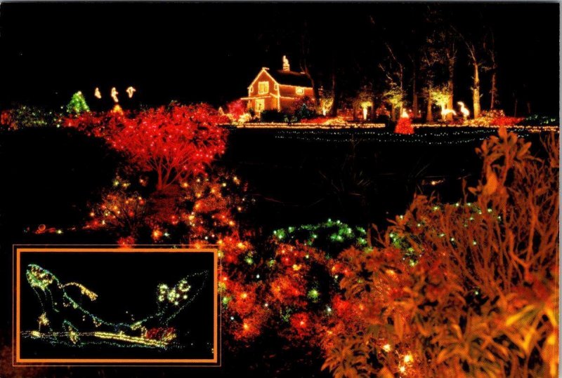 2~4X6 Postcards Coos Bay, OR Oregon SHORE ACRES STATE PARK Christmas Decorations