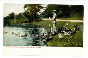 MA - Middlesex Fells. Feeding Ducks in the Park
