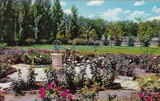 Rose Garden Elsenhower Museum Abilene Kansas