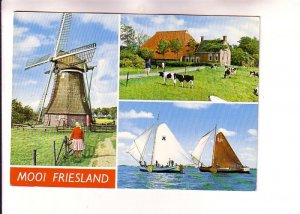 Mooi Friesland, Windmill, Sailboats, Cows, Netherlands