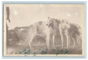 C.1915 RPPC Wewoka, OK Dixie Oil Company Mascot Dogs Vintage Postcard P113