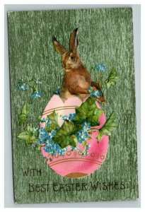 Vintage 1910's Easter Winsch Back Postcard Nice Bunny Giant Pink Egg Green Face