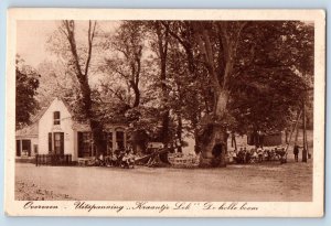 Overveen Netherlands Postcard The Hollow Tree c1920's Unposted Antique