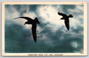 Fife Lake Michigan~Birds In Air Greeting Card~Vintage Linen Postcard