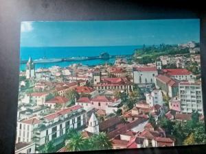 Postcard Birdseye View of Madeira , Portugal      Z4