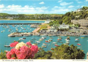 uk46265 harbour from vane hill torquay devon  uk