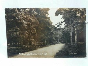 St Georges Woods Weybridge Surrey c1910 Vintage Postcard