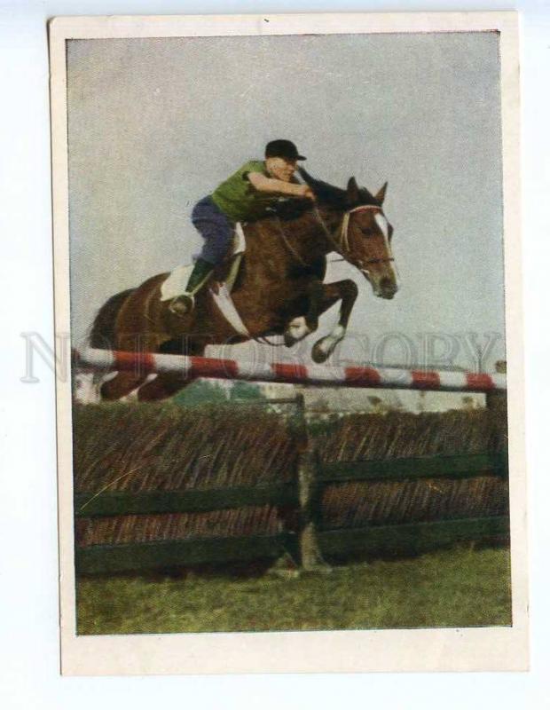 237624 USSR 1954 SPORT equestrian Riding overcoming obstacles