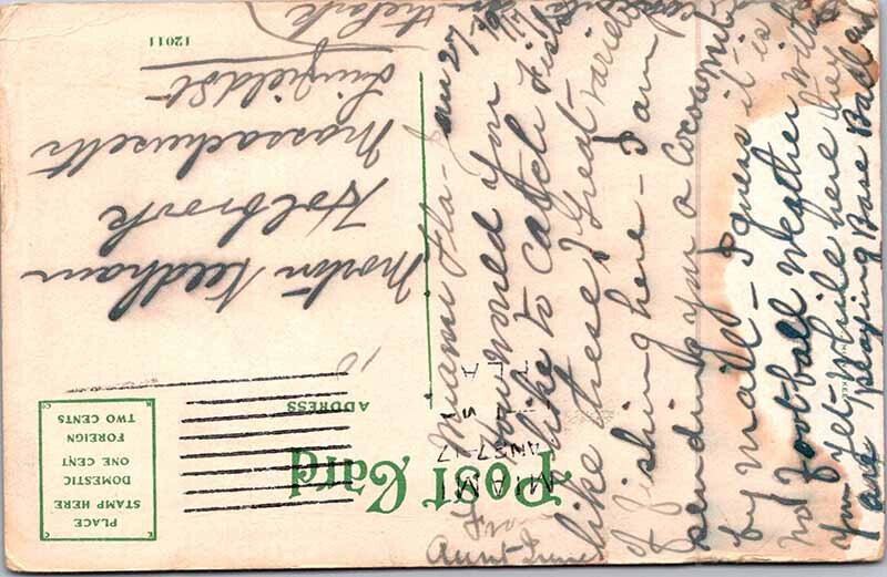 Postcard ANIMAL SCENE Miami Florida FL AM7705