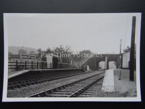 Wiltshire AVONCLIFF HALT RAILWAY STATION Locomotive c1950/60's Real Photograph 2