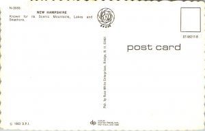 New Hampshire - Greetings From - [NH-276]