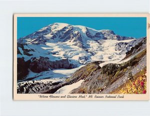 Postcard Where Flowers and Glaciers Meet, Mt. Rainier National Park, WA