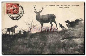 Old Postcard Hunting hounds in a Forest of Fontainebleau Hallali current Dogs...