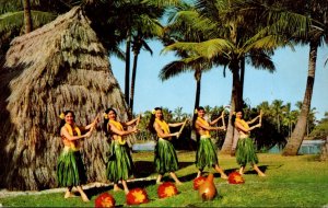 Hawaii Honolulu Beautiful Hula Dancers