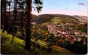 Germany Triberg im Schwarzwald Vintage Postcard C021