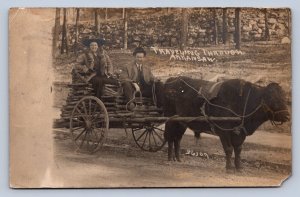 DS3/ Interesting RPPC Postcard c1910 Arkansas Cow-Drawn Cart Tourists 75